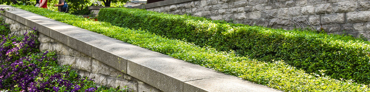 Hardscaping svc